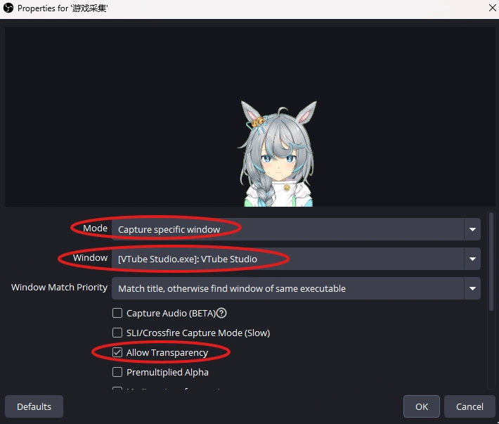 vts live2d avatar settings-en
