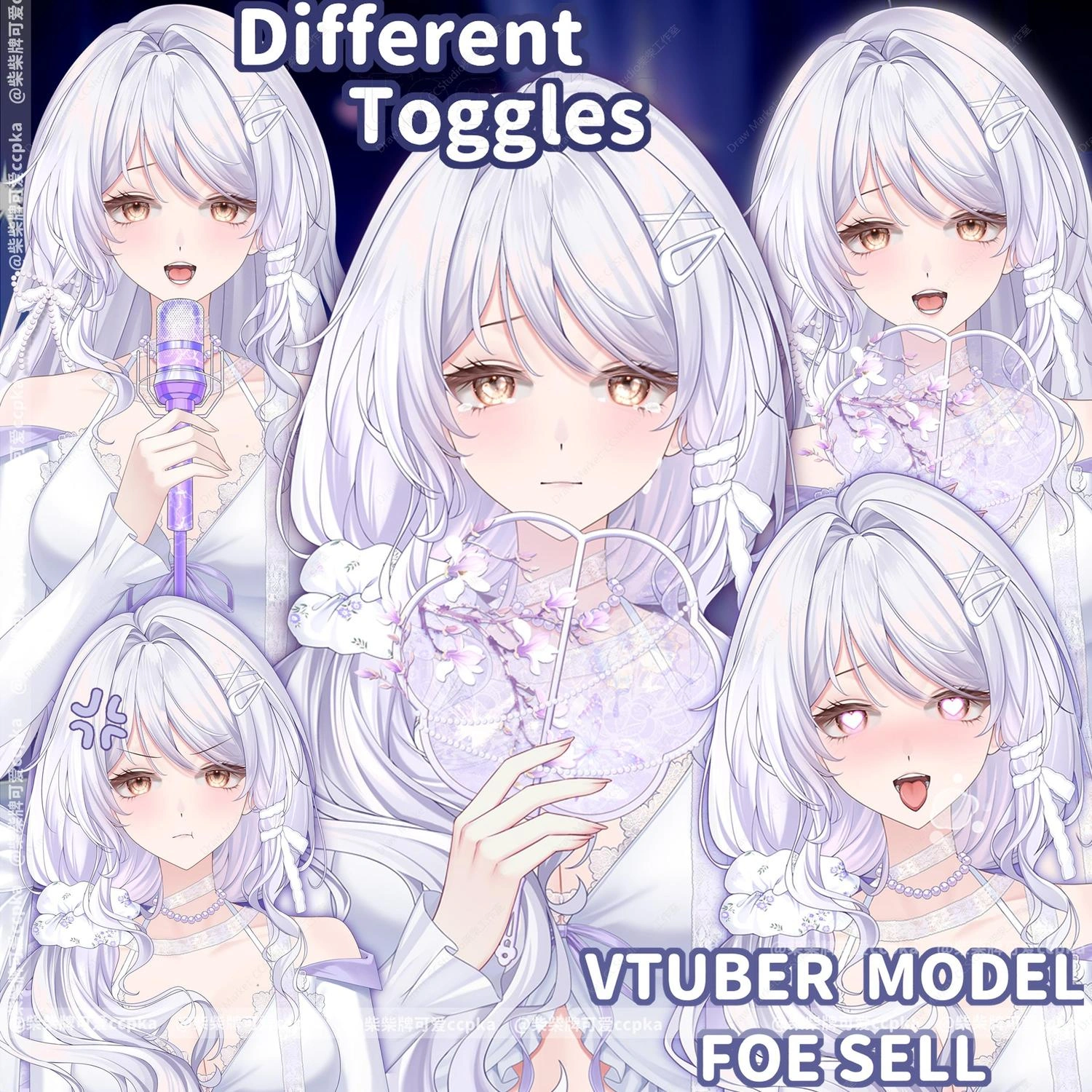 (Pre-made model)